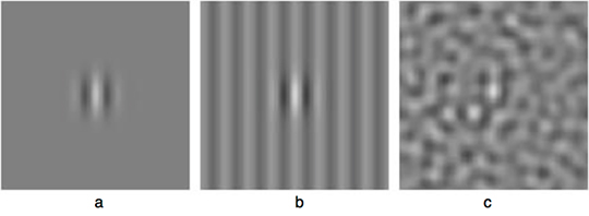 Fig. 1. Visual target (a) and two masks: cosine grating (b) and bandpass noise (c). Each mask is shown with the target added.
