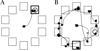 Figure 1. Search Task. The observer was given 4 seconds to find a disk target embedded in noise in one of 10 locations (squares). The bold square indicates the location of the target, the big open circle the final decision, and the small solid circles eye position during fixations. A. In this high signal-to-noise trial, both the first eye movement and the decision quickly indicated the correct location. B. In this low signal-to-noise trial, the eye examined many locations and the final decision was wrong.