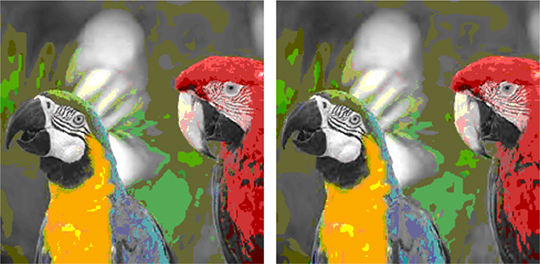 Figure 2. Image compressed with perceptually lossless DWT quantization matrix (left) and twice that matrix (right). Image dimensions are 256x256 pixels. Quantization matrix is designed for a viewing distance of about seven picture heights.